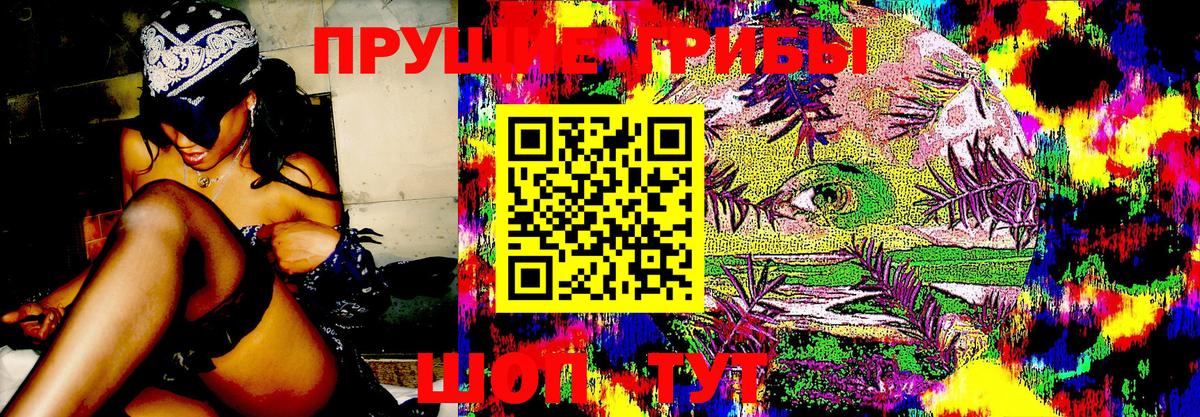 Галлюциногенные грибы ЛСД  Галлюциногенные грибы Psilocybe  Вход с VPN  даркнет сайт  Кстово 